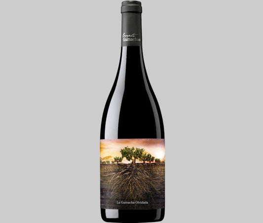 La Garnacha Olvidada de Aragón 2021